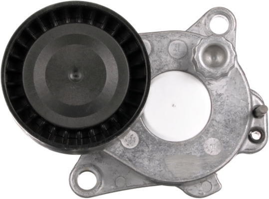 Gates Spanner poly V-riem T39495