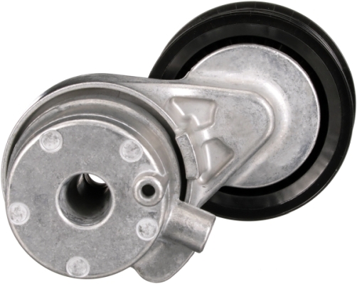 Gates Spanner poly V-riem T39515