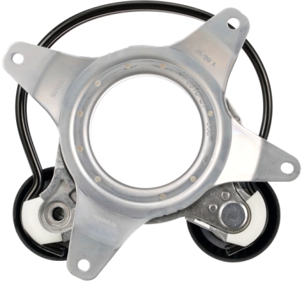 Gates Spanner poly V-riem T39528
