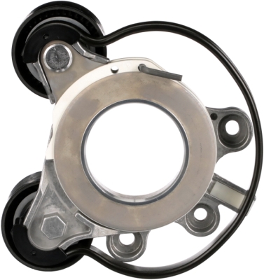 Gates Spanner poly V-riem T39531