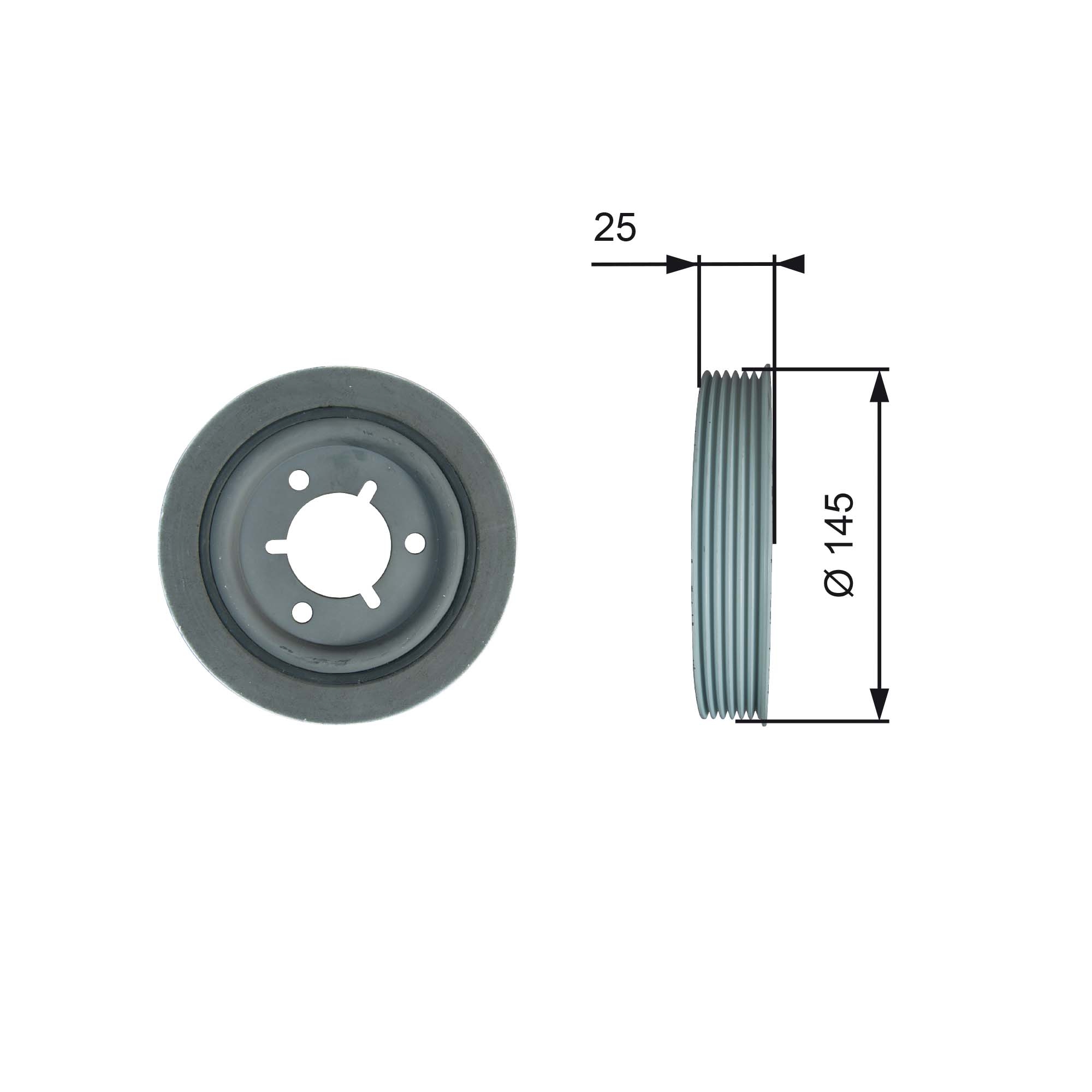 Krukaspoelie Gates TVD1056