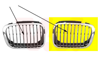 Grille Van Wezel 0646517