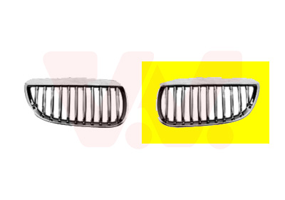 Grille links Van Wezel 0659515