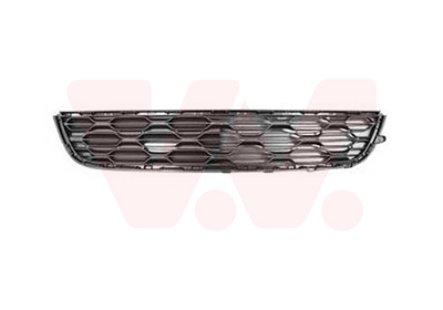 Grille Bodermann 2060370