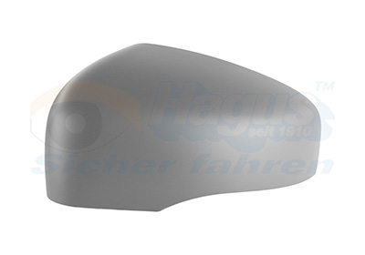 Afdekking, buitenspiegel Van Wezel 1503843