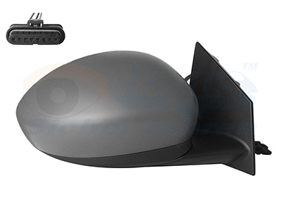 Buitenspiegel Van Wezel 1648806