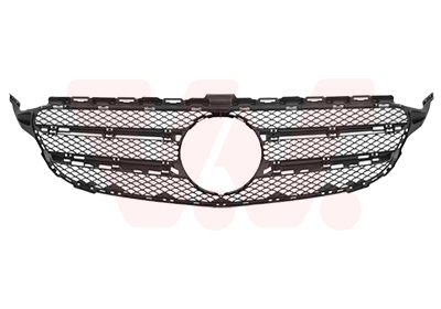 Grille Van Wezel 2924510