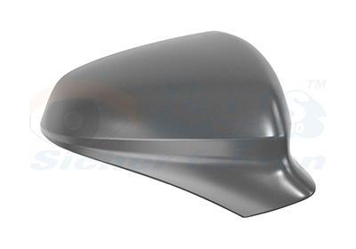 Afdekking, buitenspiegel Van Wezel 4950844