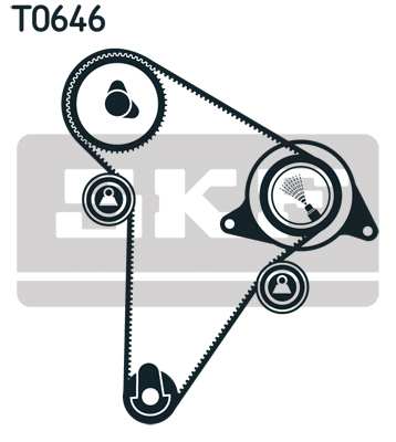 SKF Distributieriem kit VKMA 03301