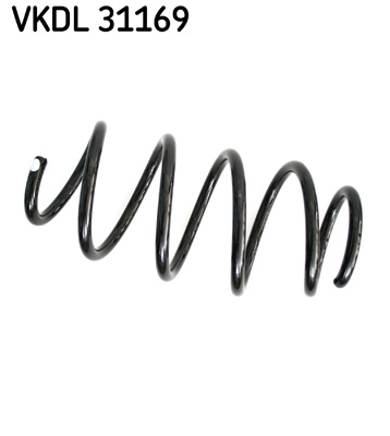 Veer SKF VKDL 31169