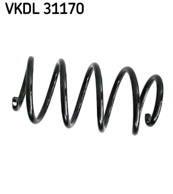 Veer SKF VKDL 31170