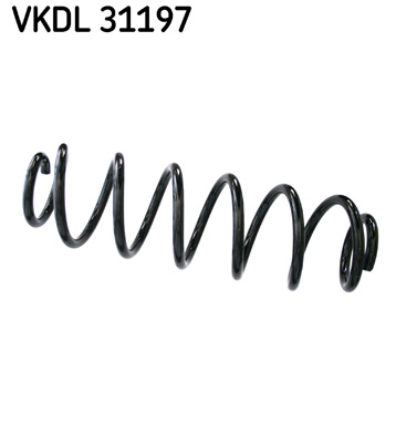 Veer SKF VKDL 31197