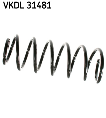 Veer SKF VKDL 31481