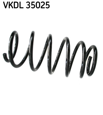 Veer SKF VKDL 35025