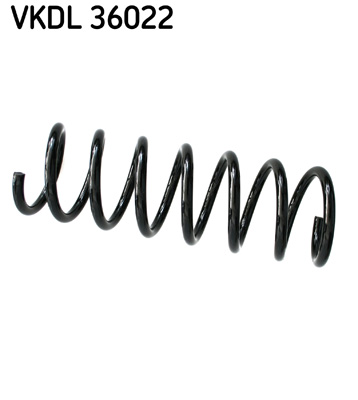 Veer SKF VKDL 36022
