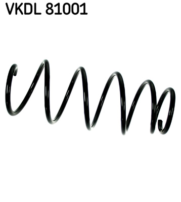 Veer SKF VKDL 81001