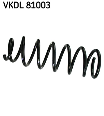 Veer SKF VKDL 81003