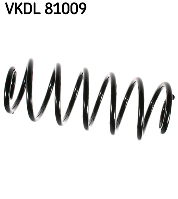 Veer SKF VKDL 81009