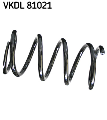 Veer SKF VKDL 81021