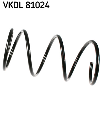 Veer SKF VKDL 81024