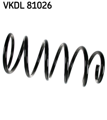 Veer SKF VKDL 81026
