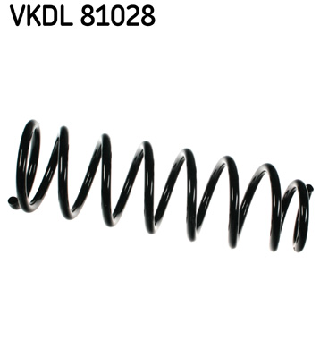 Veer SKF VKDL 81028