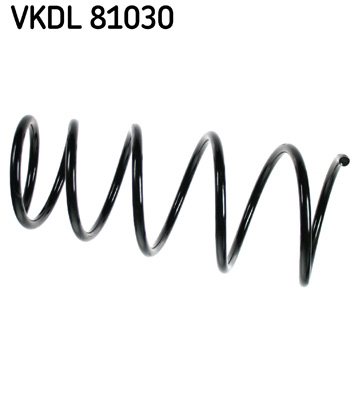 Veer SKF VKDL 81030