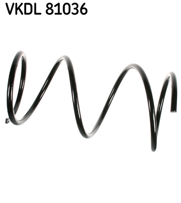 Veer SKF VKDL 81036