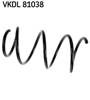 Veer SKF VKDL 81038