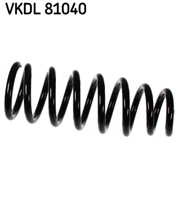 Veer SKF VKDL 81040