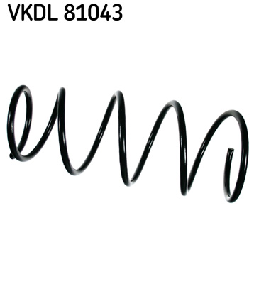 Veer SKF VKDL 81043