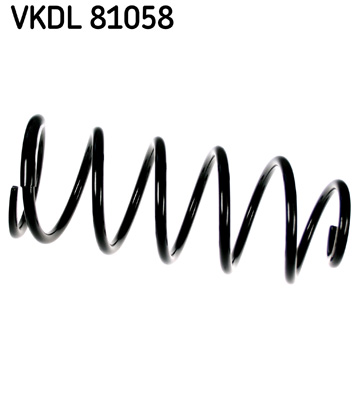 Veer SKF VKDL 81058