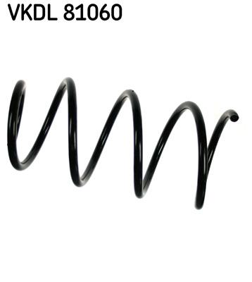 Veer SKF VKDL 81060