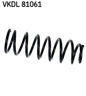 Veer SKF VKDL 81061