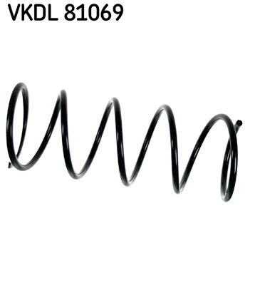 Veer SKF VKDL 81069
