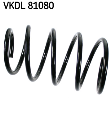 Veer SKF VKDL 81080