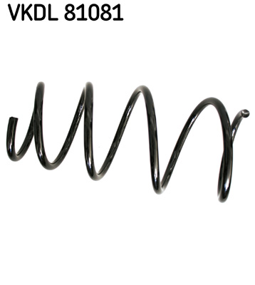Veer SKF VKDL 81081