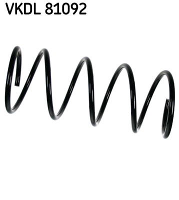 Veer SKF VKDL 81092