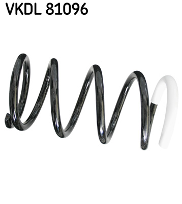 Veer SKF VKDL 81096