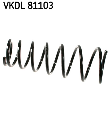 Veer SKF VKDL 81103