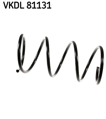 Veer SKF VKDL 81131