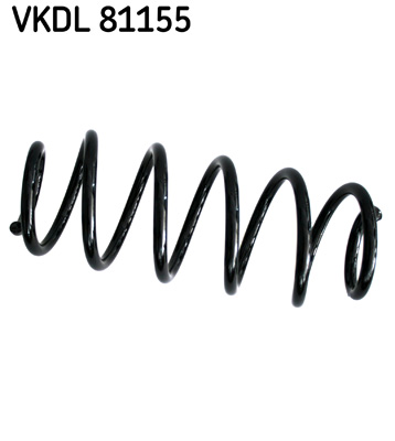 Veer SKF VKDL 81155