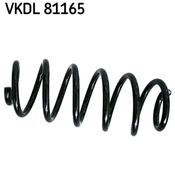 Veer SKF VKDL 81165