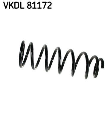 Veer SKF VKDL 81172