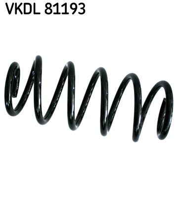 Veer SKF VKDL 81193
