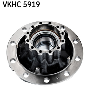 Wielnaaf SKF VKHC 5919