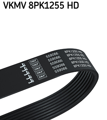 Poly V-riem SKF VKMV 8PK1255 HD