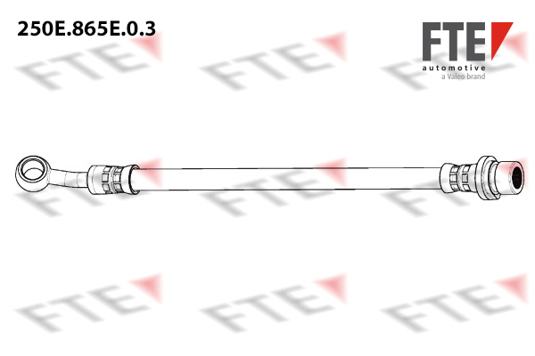 Remslang FTE 250E.865E.0.3