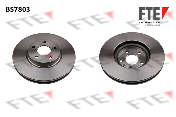 Remschijven FTE 9071166