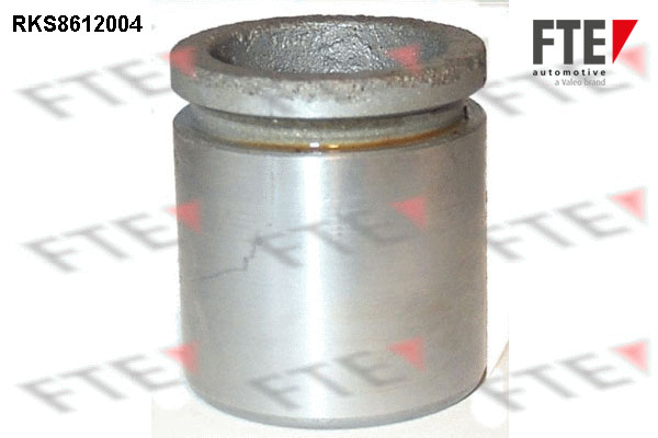 Remzadel/remklauw zuiger FTE 9313120